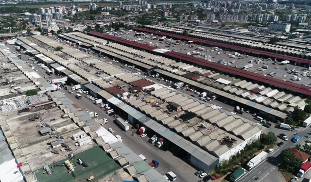 Antalya’da haziranda domates ve meyvede işlem miktarı arttı!