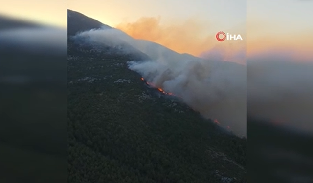 Antalya Kaş’ta orman yangını!