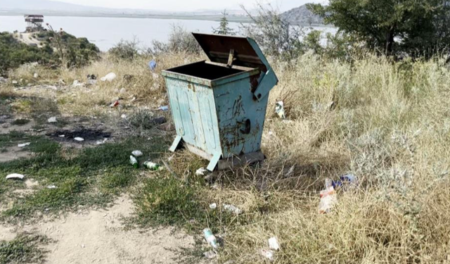 Boş konteynerin etrafı çöplüğe döndü, Profesörden sert tepki!