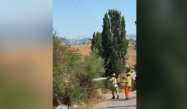 Alanya'da otluk alanda çıkan yangın büyümeden söndürüldü!