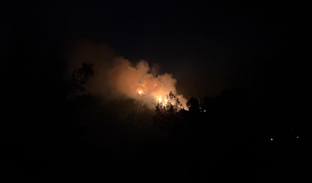 Kaş’taki orman yangınına müdahale sürüyor!