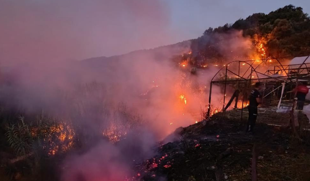 Kumluca'da peş peşe yangın paniği!