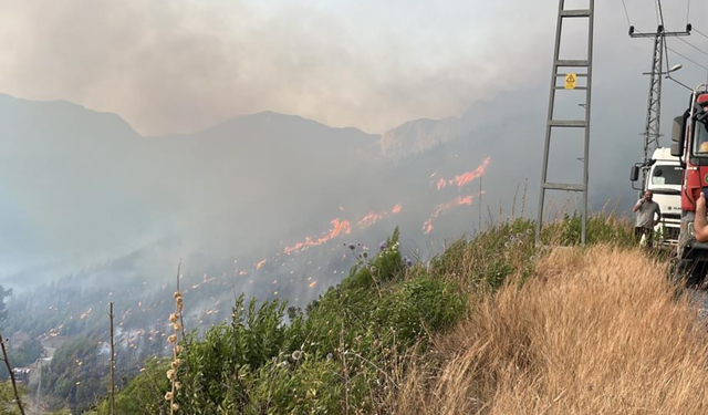 Alanya Sapadere Kanyonu'nda ormanlık alanda yangın!