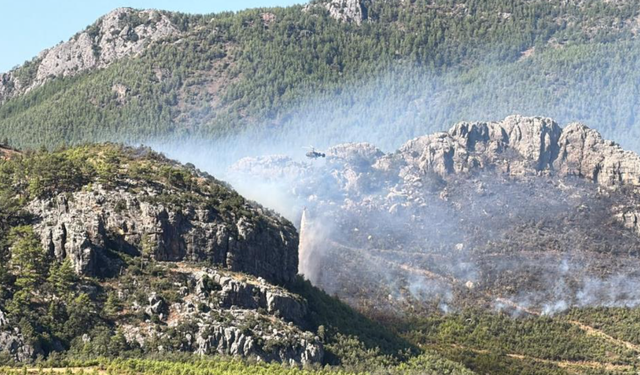 Alanya'daki orman yangınında 45 ev tahliye edildi!