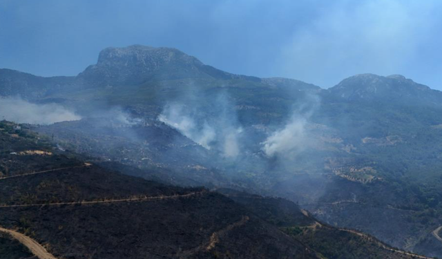 Alanya'daki orman yangınında mücadele ikinci gününde!