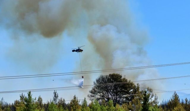 Antalya'da ormanlık alandaki yangın kontrol altına alındı