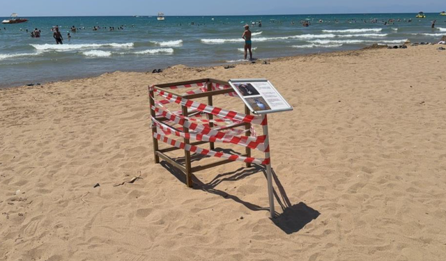 Antalya'da 'caretta caretta' yuvası bilmecesi