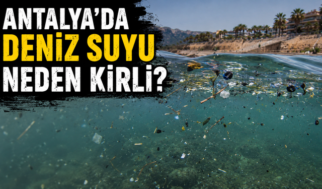 "Bu yıl henüz berrak suya rastlamadık"