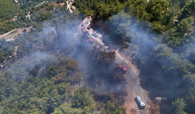 Alanya'da orman yangını 3 saatte kontrol altına alındı