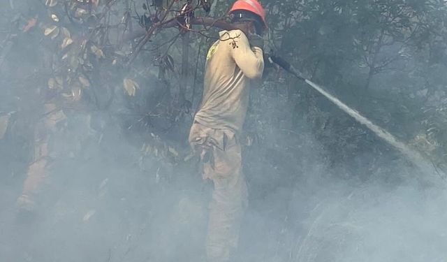 Kaş'ta ormanlık alanda yangın