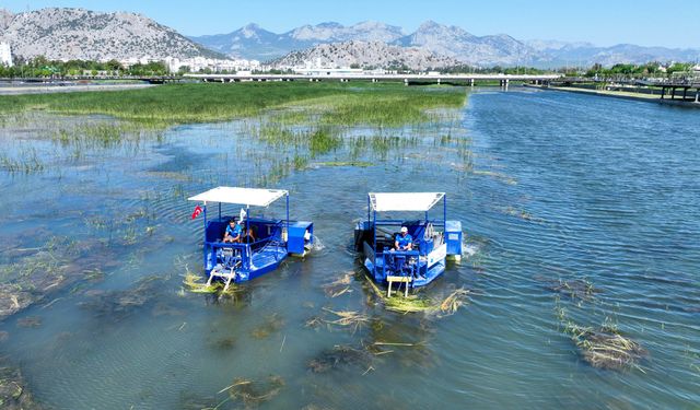 Boğaçayı sucul otlarla kaplandı, "Caretta" ve "Mavi Yengeç" göreve başladı