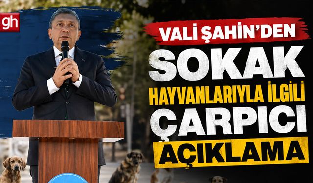 Antalya’da her yıl 25 bin vatandaş köpek ısırması nedeniyle tedavi görüyordu