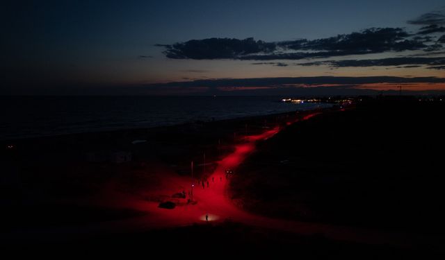 Carettalar için deniz yoluna LED ışık döşendi