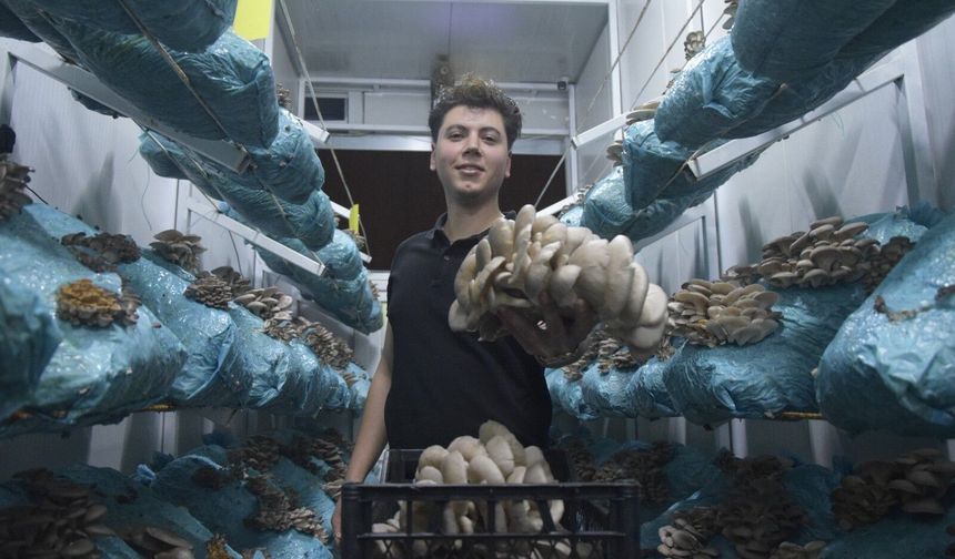 Aksu'da mesleği avukatlık olan 26 yaşındaki girişimci, mantar yetiştiriciliğini dev tesise çevirdi, hedefi mantar köyü