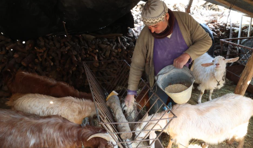 Korkuteli’nde üreticinin işini kolaylaştıran makine