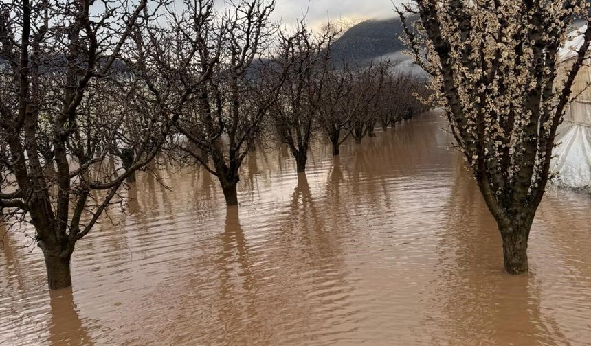 Elmalı'da dereler taştı, tarım alanları sular altında kaldı