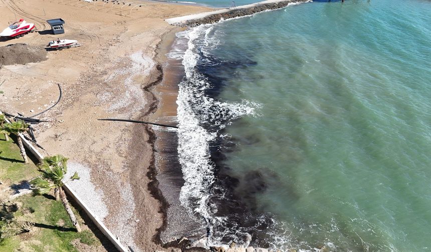 Alanya’da sahildeki siyah tabaka önce tedirgin etti, gerçek sonradan ortaya çıktı