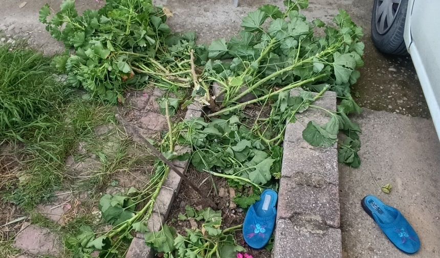 Antalya’da yürekleri ağza getiren olay: Küçük çocuk 2. kattan düştü!