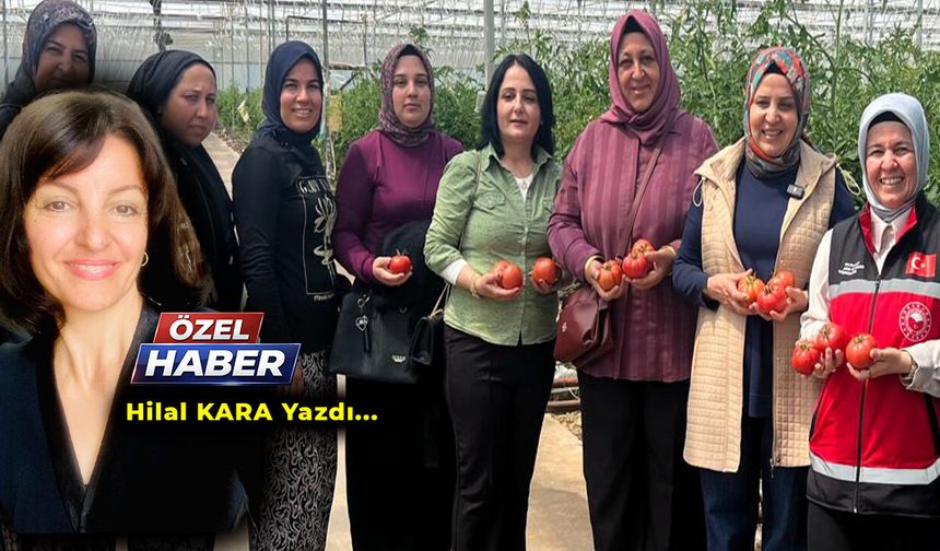 Birleşmiş Milletler projesi Aksu’da hayat buluyor!