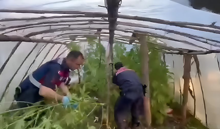 Serada yasa dışı üretim şoku!