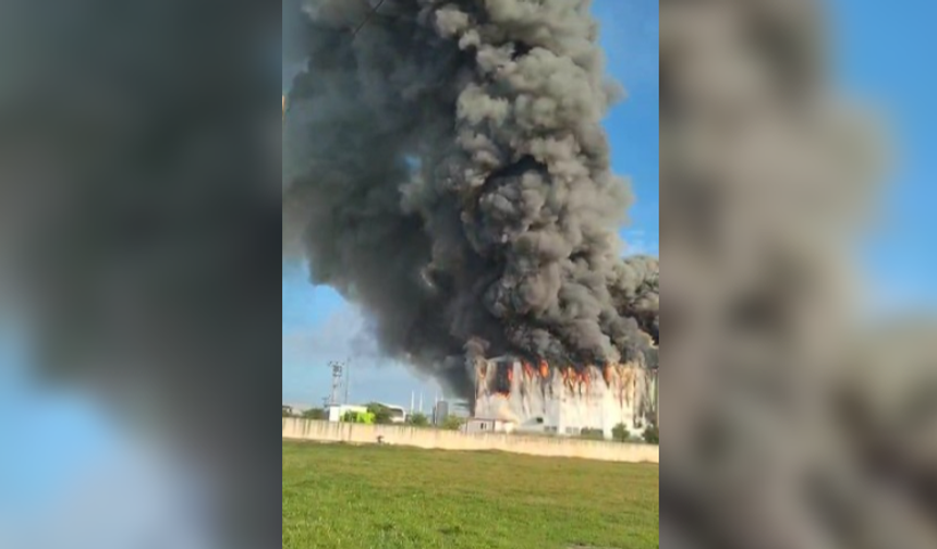 Antalya'da patates üretim tesisinde yangın