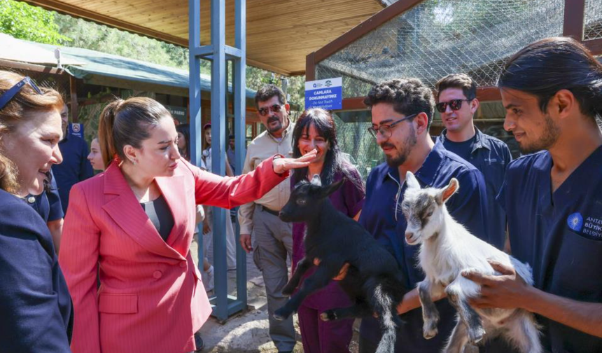 Başkan Vekili Büşra Özdemir: "Veteriner hekimlerin üstlendikleri sorumluluk çok kıymetli"