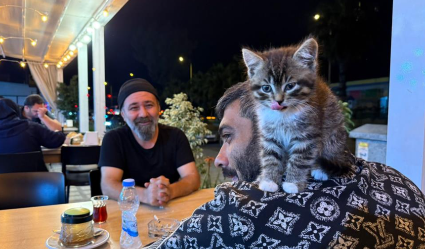 Madde bağımlılığından yavru kedi sayesinde kurtuldu