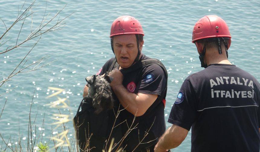 Film gibi operasyon!