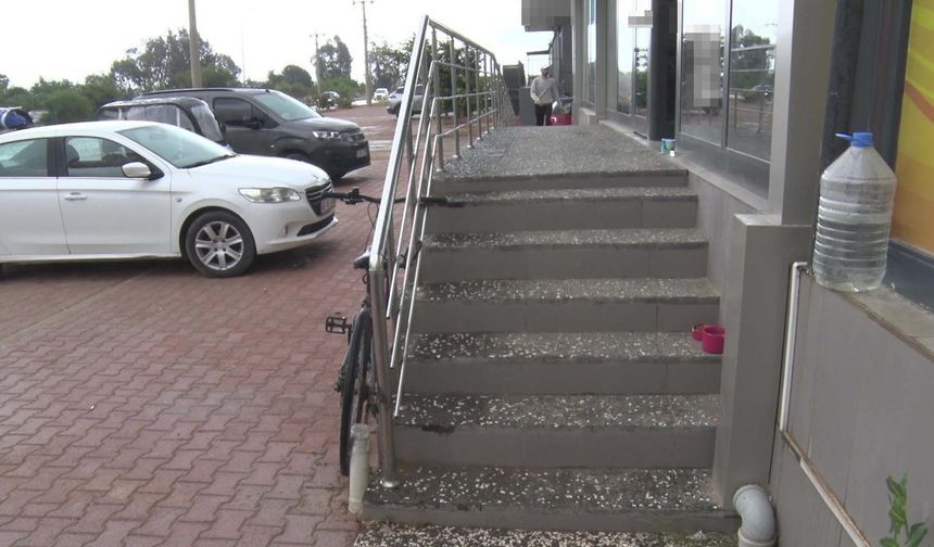 Yabancı uyruklu şahsın hayvanlara şiddeti tepki çekti!