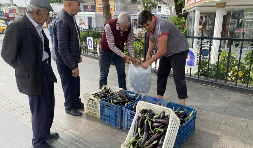Ürettiği patlıcanlar maliyetini kurtarmayınca serasının kapılarını vatandaşlara açtı
