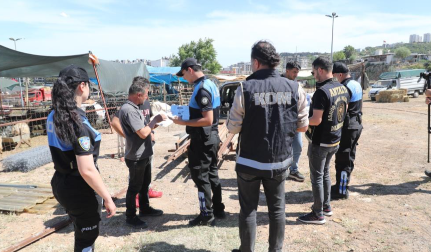 Kurban pazarlarında sahte para ve dolandırıcılığa karşı uyarı