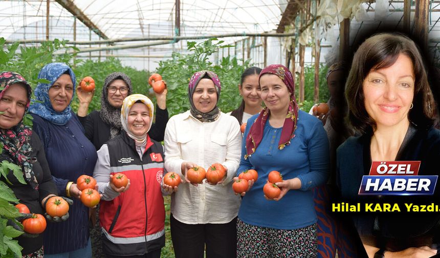 Dünya Çiftçiler Günü’nde Aksulu Kadın Çiftçilerden üretim mesaisi