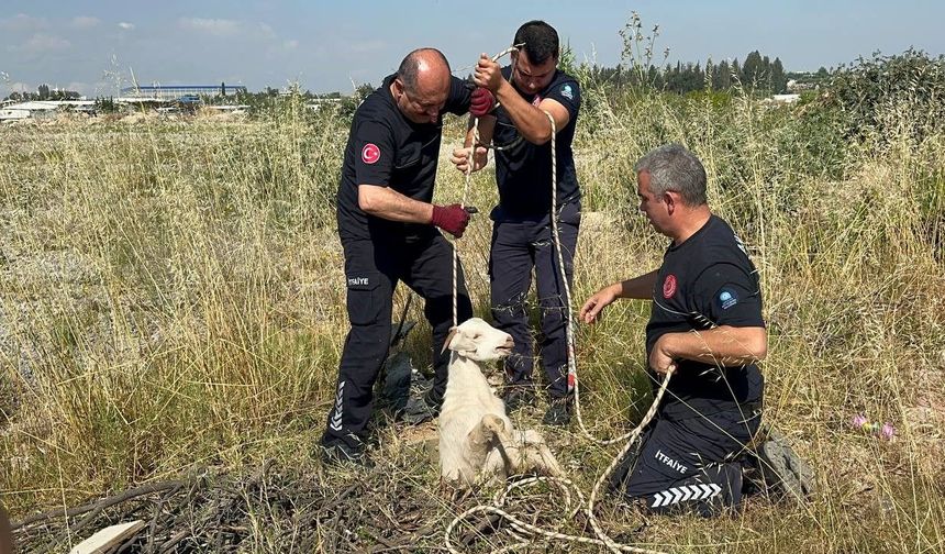 Aksu'da yürekleri ısıtan kurtarma!