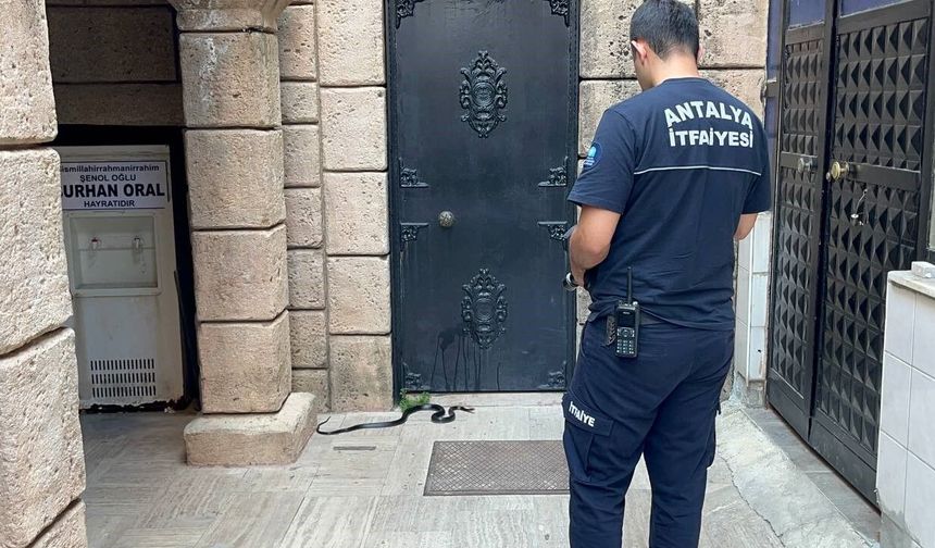 Önce oyuncak dediler, sonra gerçeği görünce kayda aldılar!