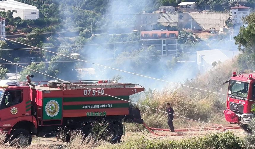 Alanya'da zirai alanda çıkan yangın korkuttu!