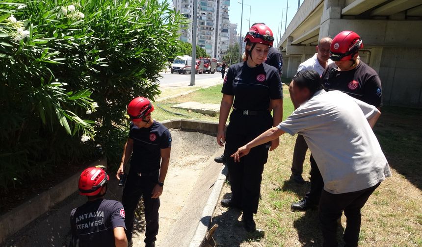 Düştü diye ihbar ettiği babası bile düşmediğine ikna edemedi!