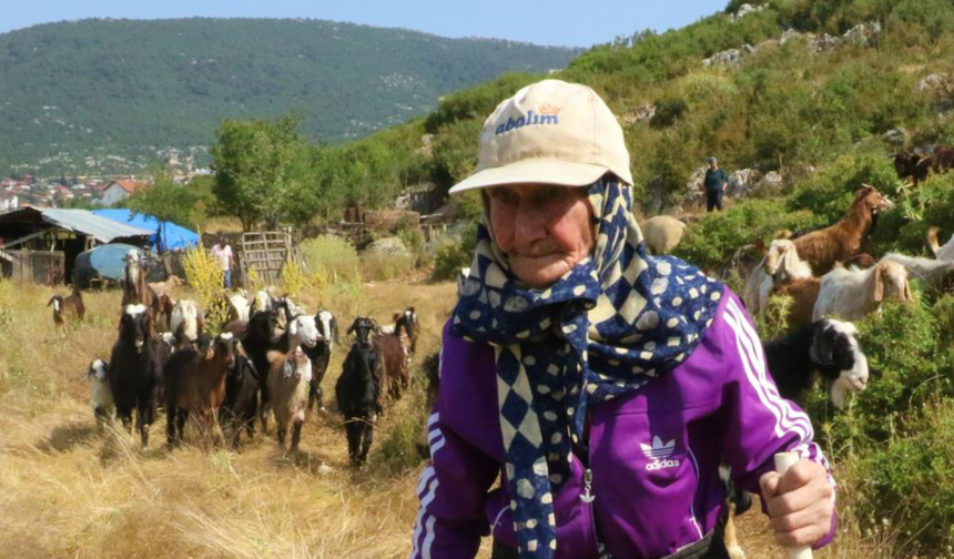 94 yaşında, 90 yıldır keçileriyle dağlarda