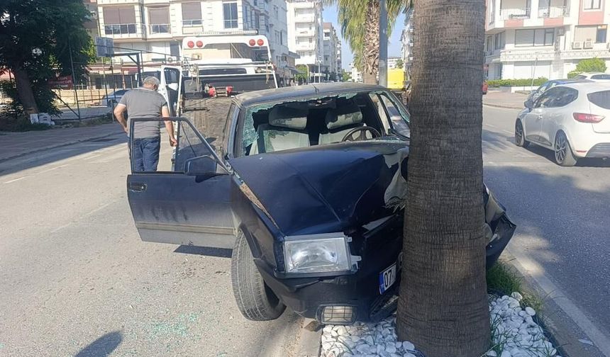 Palmiyeye çarpan Tofaş hurdaya döndü!
