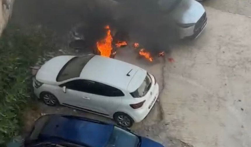 Diğer araçlar için canını tehlikeye attı!