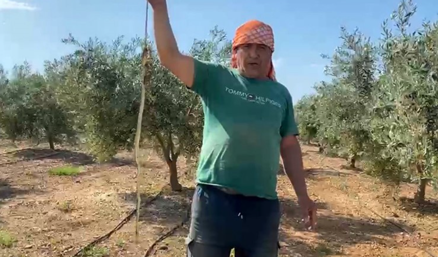 'Yılanı öldürdüm' deyip çektirdiği video pahalıya mal oldu!
