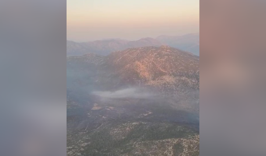 Antalya'daki orman yangını kontrol altına alındı!