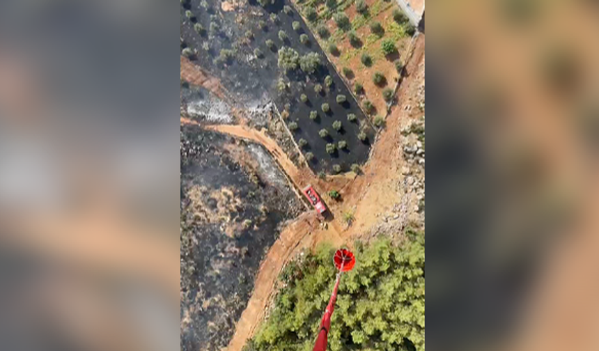 Antalya'da ormanlık alanı tehdit eden yangın!