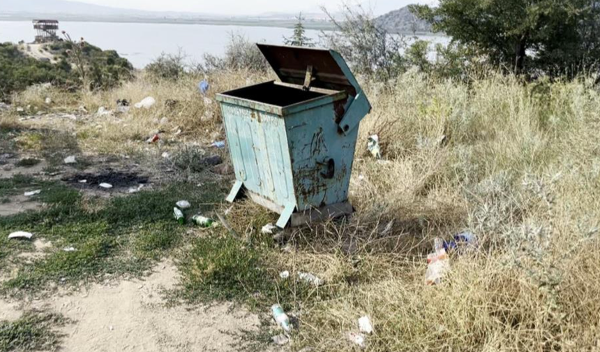 Boş konteynerin etrafı çöplüğe döndü, Profesörden sert tepki!