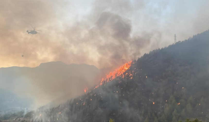 Alanya'daki yangına 95 araç ve 320 personelle müdehale ediliyor