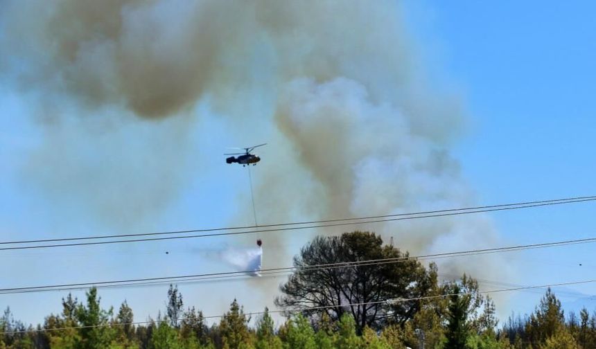 Antalya'da ormanlık alandaki yangın kontrol altına alındı