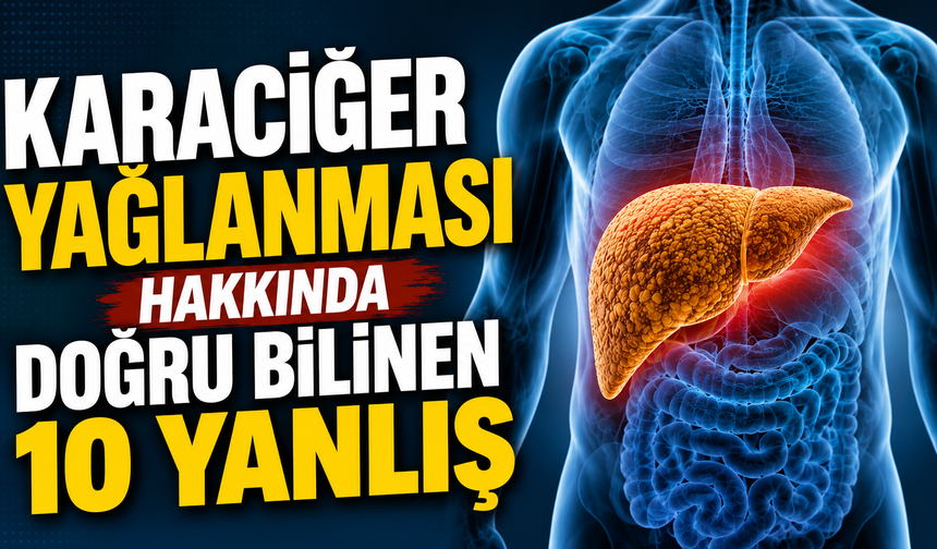 Karaciğer yağlanması hakkında doğru bilinen 10 yanlış