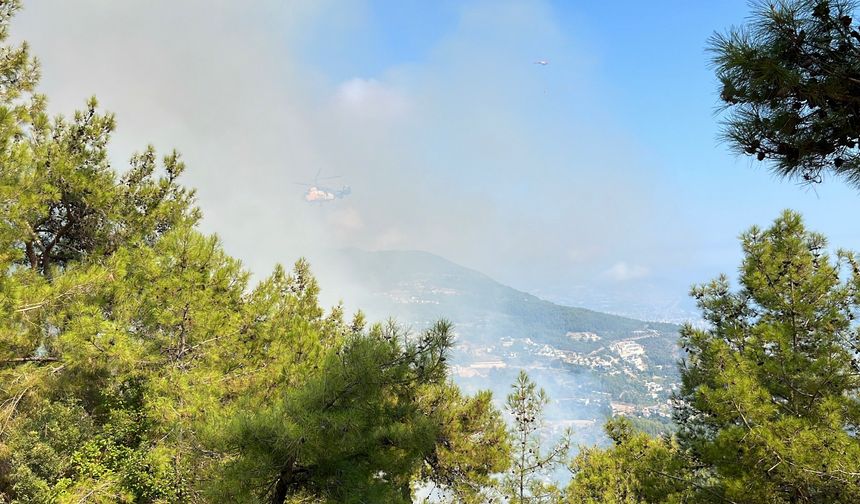 Antalya'da iki ilçede çıkan orman yangınına müdahale ediliyor