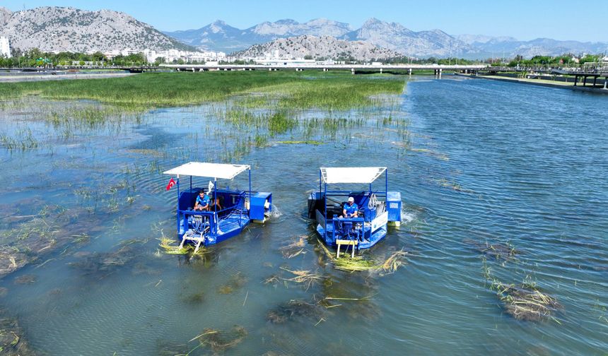 Boğaçayı sucul otlarla kaplandı, "Caretta" ve "Mavi Yengeç" göreve başladı