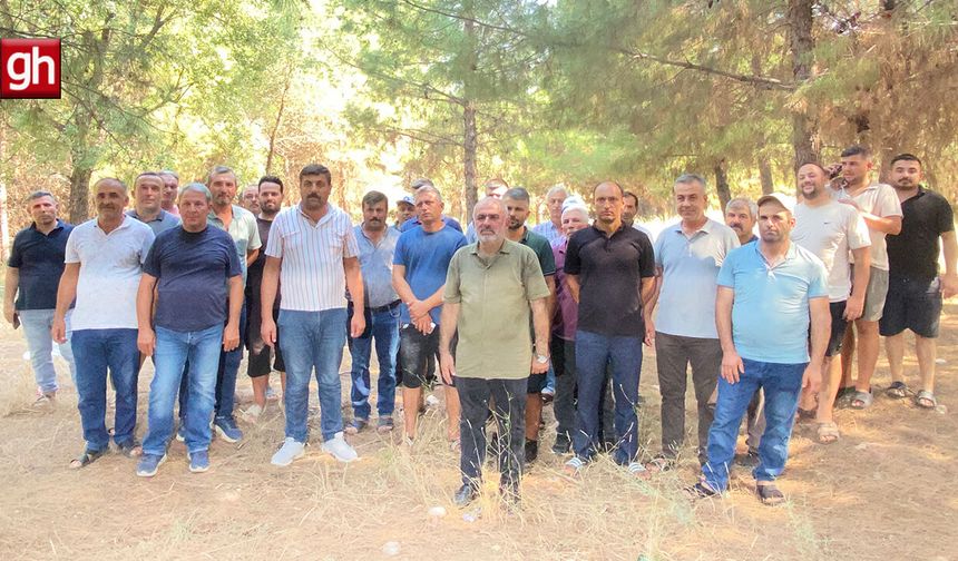 Kurşunlu’da köpek barınağı tepkisi: Mahalleli çözüm istiyor!