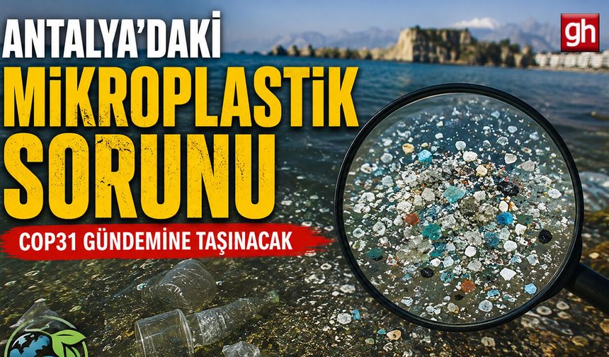 Antalya Valisi Şahin:  "Bu sadece Antalya'nın meselesi değil"